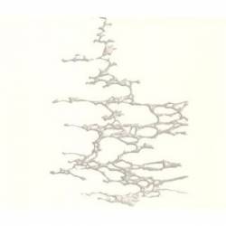 The Creator Of : Dust to Dust